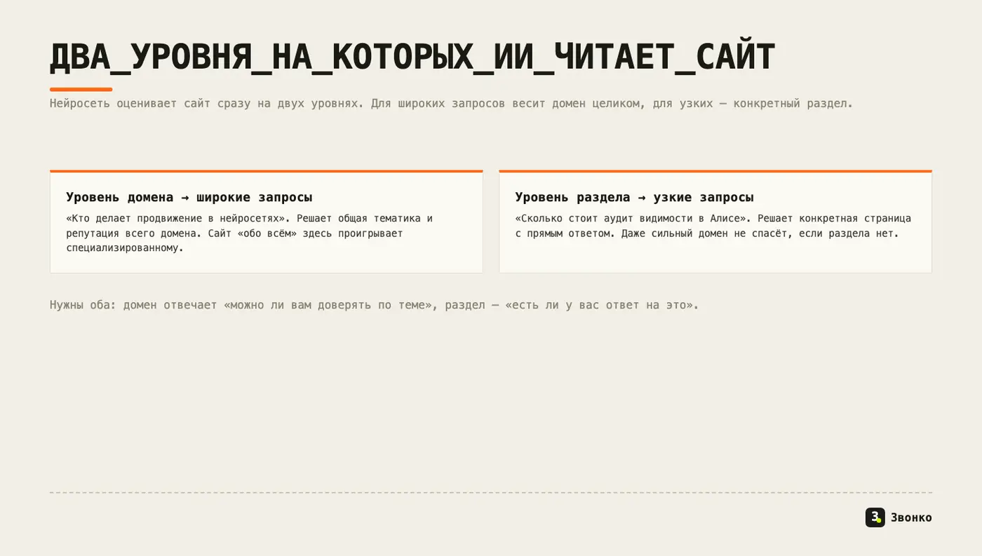 Два уровня, на которых нейросеть читает сайт: домен для широких запросов и раздел для узких